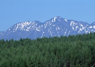 雪山森林图片