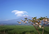 富士山白云奇观图片
