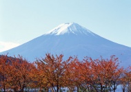 眺望富士山图片