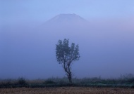 富士山迷雾图片