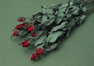 干枯玫瑰花束图片