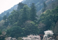 日本山林风景图片