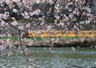 东京铁路图片