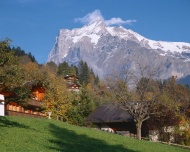 瑞士雪山草原图片