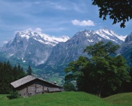 瑞士山林乡村图片
