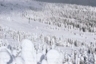 加拿大雪景图片