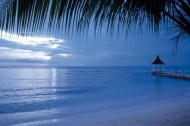 加勒比海夜景图片