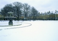巴黎雪景图片