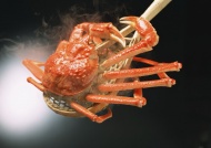 日本蜘蛛蟹美食图片