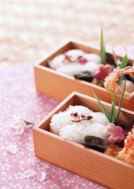 日本食品饭团图片