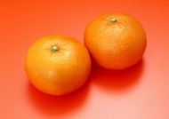 两个橘子图片