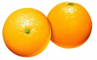 手绘香橙图片