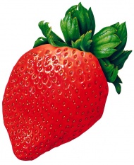 手绘草莓图片