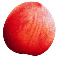 红色桃子图片