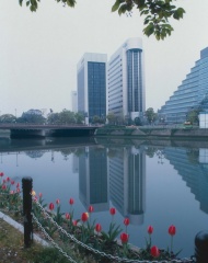 美丽的上海风景图片