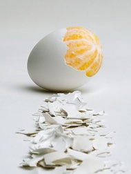 创意桔子鸡蛋图片