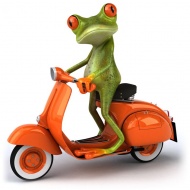 卡通青蛙骑摩托车图片