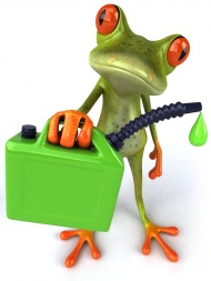 树蛙拿着汽油桶图片