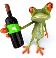 树蛙拿着葡萄酒瓶图片