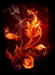 火焰花朵图片