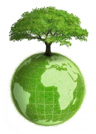 绿色地球上的绿树图片