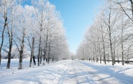 道路雪景图片