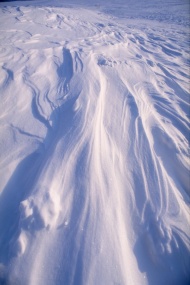 雪原图片