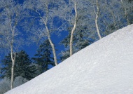 雪山梯田图片