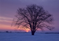 日暮雪景图片