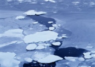 湖面上冰块图片