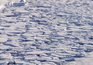 湖面冰块图片