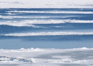 大海冰层图片