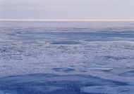 海洋冰层图片