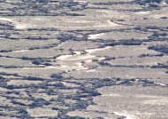 河面上的冰图片