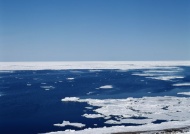 太平洋冰层图片