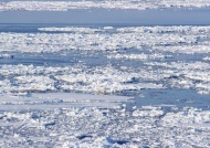 湖面上的浮冰图片