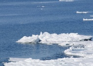 海洋浮冰图片