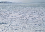 湖面冰层图片