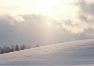雪地阳光图片