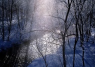 河流树林雪景图片