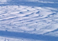雪地雪景图片