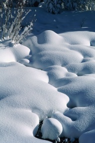 雪景图片