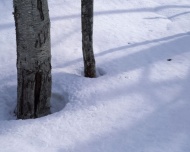 雪地图片