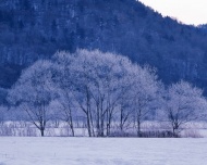 深山雪景图片