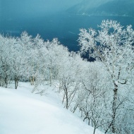 冬季风景风光图片