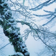 冬天美丽雪景风光图片