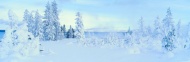 美丽的冬天雪景图片