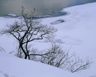 美丽冬季雪风光图片