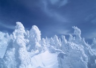 美丽的雪山风光图片
