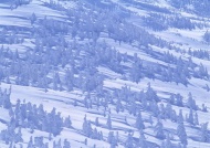 雪中的山林风景图片